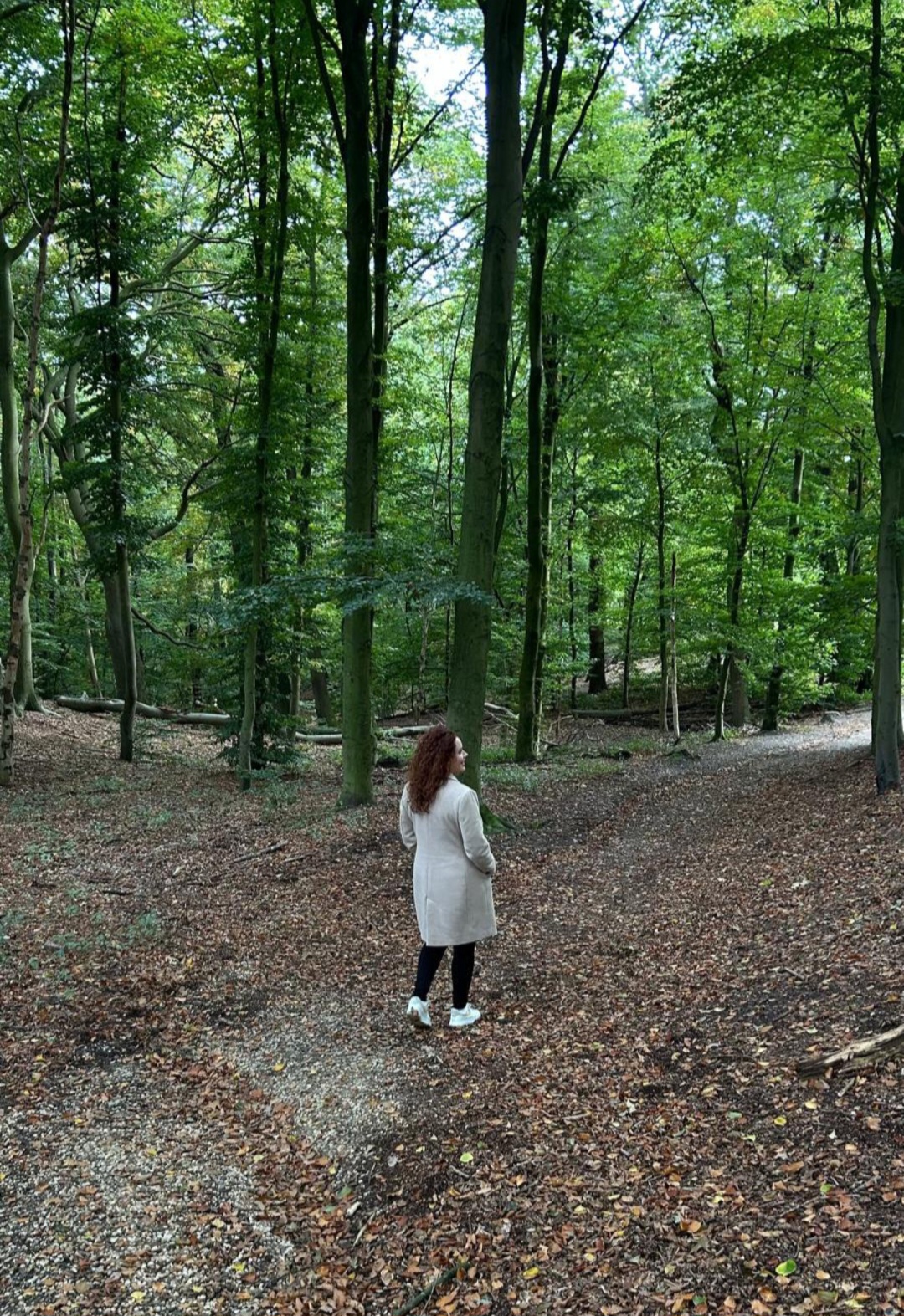 Wandelen in de natuur rondom Arnhem